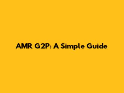 AMR G2P: A Simple Guide