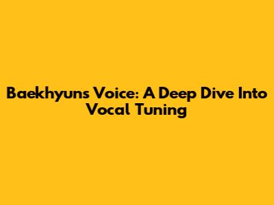 Baekhyun's Voice: A Deep Dive Into Vocal Tuning