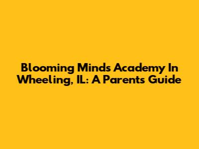 Blooming Minds Academy In Wheeling, IL: A Parent's Guide