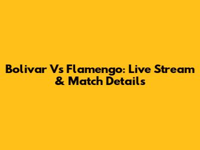 Bolivar Vs Flamengo: Live Stream & Match Details