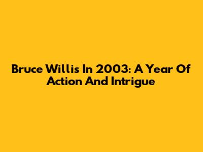 Bruce Willis In 2003: A Year Of Action And Intrigue