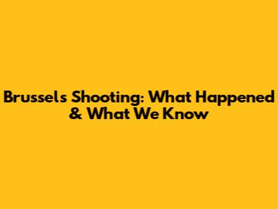 Brussels Shooting: What Happened & What We Know