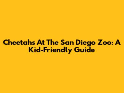Cheetahs At The San Diego Zoo: A Kid-Friendly Guide