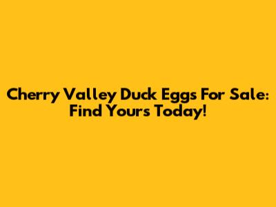 Cherry Valley Duck Eggs For Sale: Find Yours Today!