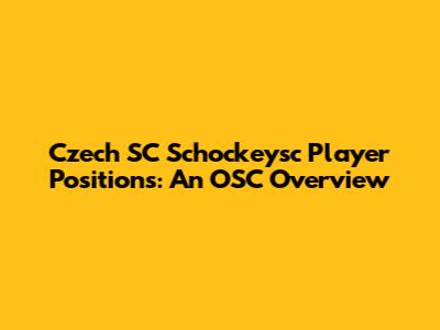 Czech SC Schockeysc Player Positions: An OSC Overview