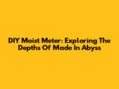 DIY Moist Meter: Exploring The Depths Of Made In Abyss