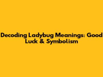 Decoding Ladybug Meanings: Good Luck & Symbolism