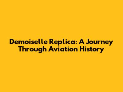 Demoiselle Replica: A Journey Through Aviation History