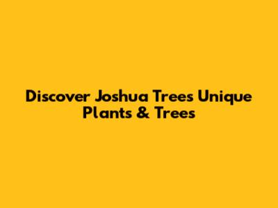 Discover Joshua Tree's Unique Plants & Trees