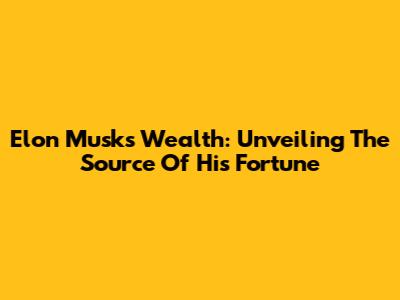 Elon Musk's Wealth: Unveiling The Source Of His Fortune
