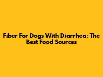 Fiber For Dogs With Diarrhea: The Best Food Sources