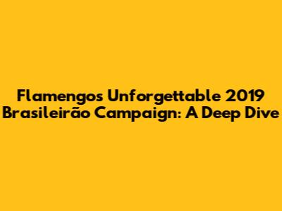 Flamengo's Unforgettable 2019 Brasileirão Campaign: A Deep Dive