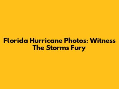 Florida Hurricane Photos: Witness The Storm's Fury