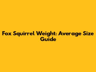 Fox Squirrel Weight: Average Size Guide