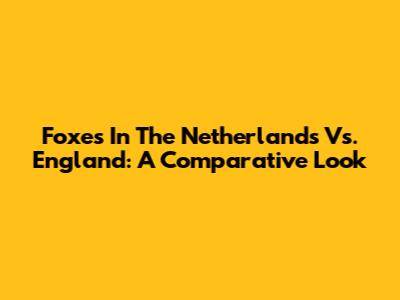 Foxes In The Netherlands Vs. England: A Comparative Look