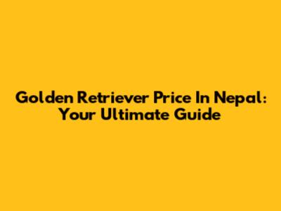 Golden Retriever Price In Nepal: Your Ultimate Guide