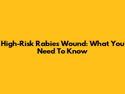 High-Risk Rabies Wound: What You Need To Know