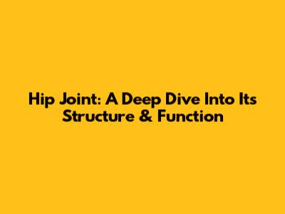 Hip Joint: A Deep Dive Into Its Structure & Function