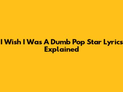 I Wish I Was A Dumb Pop Star Lyrics Explained