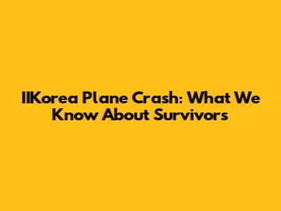 IIKorea Plane Crash: What We Know About Survivors