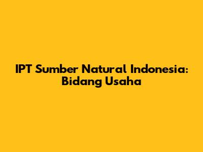 IPT Sumber Natural Indonesia: Bidang Usaha