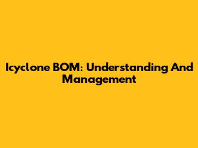 Icyclone BOM: Understanding And Management