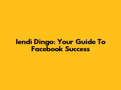 Iendi Dingo: Your Guide To Facebook Success