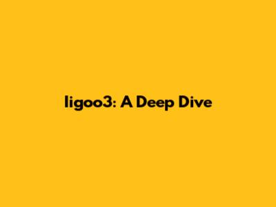Iigoo3: A Deep Dive