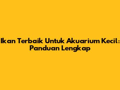 Ikan Terbaik Untuk Akuarium Kecil: Panduan Lengkap
