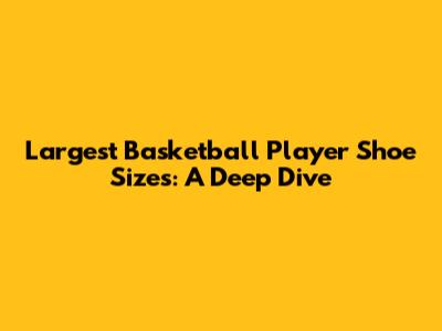 Largest Basketball Player Shoe Sizes: A Deep Dive