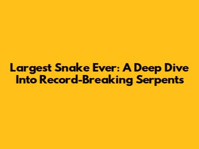 Largest Snake Ever: A Deep Dive Into Record-Breaking Serpents