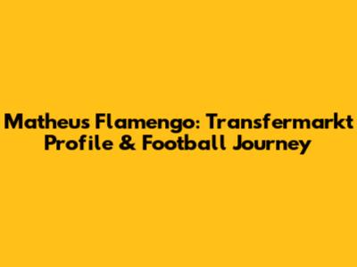 Matheus Flamengo: Transfermarkt Profile & Football Journey