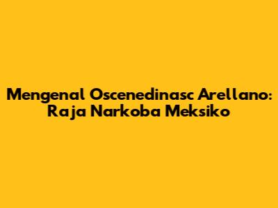 Mengenal Oscenedinasc Arellano: Raja Narkoba Meksiko