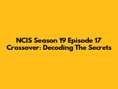 NCIS Season 19 Episode 17 Crossover: Decoding The Secrets