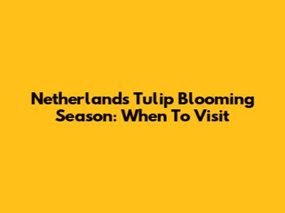 Netherlands Tulip Blooming Season: When To Visit