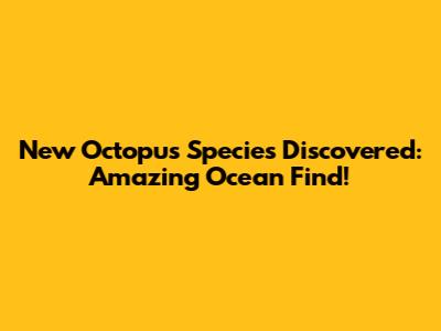 New Octopus Species Discovered: Amazing Ocean Find!