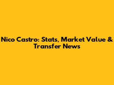 Nico Castro: Stats, Market Value & Transfer News