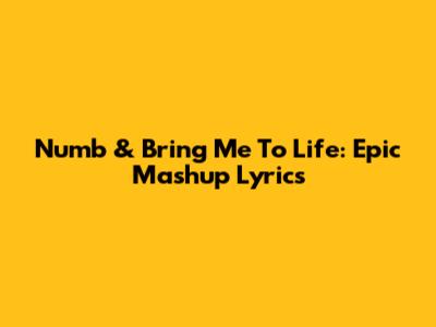 Numb & Bring Me To Life: Epic Mashup Lyrics