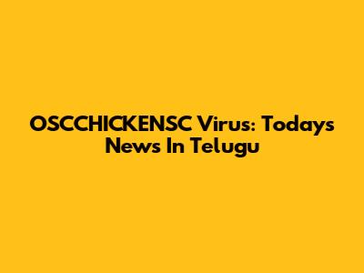 OSCCHICKENSC Virus: Today's News In Telugu