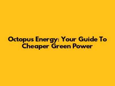 Octopus Energy: Your Guide To Cheaper Green Power