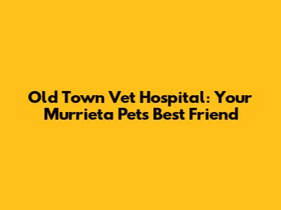 Old Town Vet Hospital: Your Murrieta Pet's Best Friend