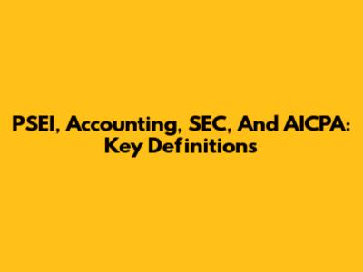 PSEI, Accounting, SEC, And AICPA: Key Definitions
