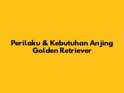 Perilaku & Kebutuhan Anjing Golden Retriever