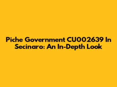 Piche Government CU002639 In Secinaro: An In-Depth Look