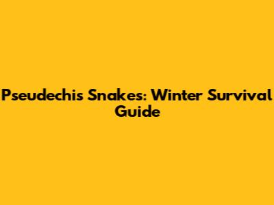 Pseudechis Snakes: Winter Survival Guide
