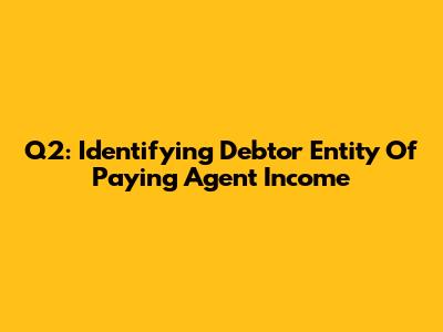 Q2: Identifying Debtor Entity Of Paying Agent Income
