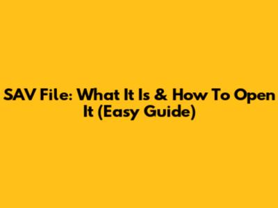 SAV File: What It Is & How To Open It (Easy Guide)