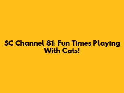 SC Channel 81: Fun Times Playing With Cats!