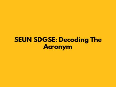 SEUN SDGSE: Decoding The Acronym