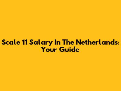 Scale 11 Salary In The Netherlands: Your Guide
